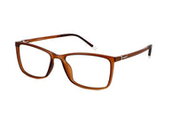 Load image into Gallery viewer, Finn DY1502 Oval Shape Frame with Lens
