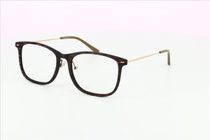 Finn J0538 Rectangle Shape Frame with Lens